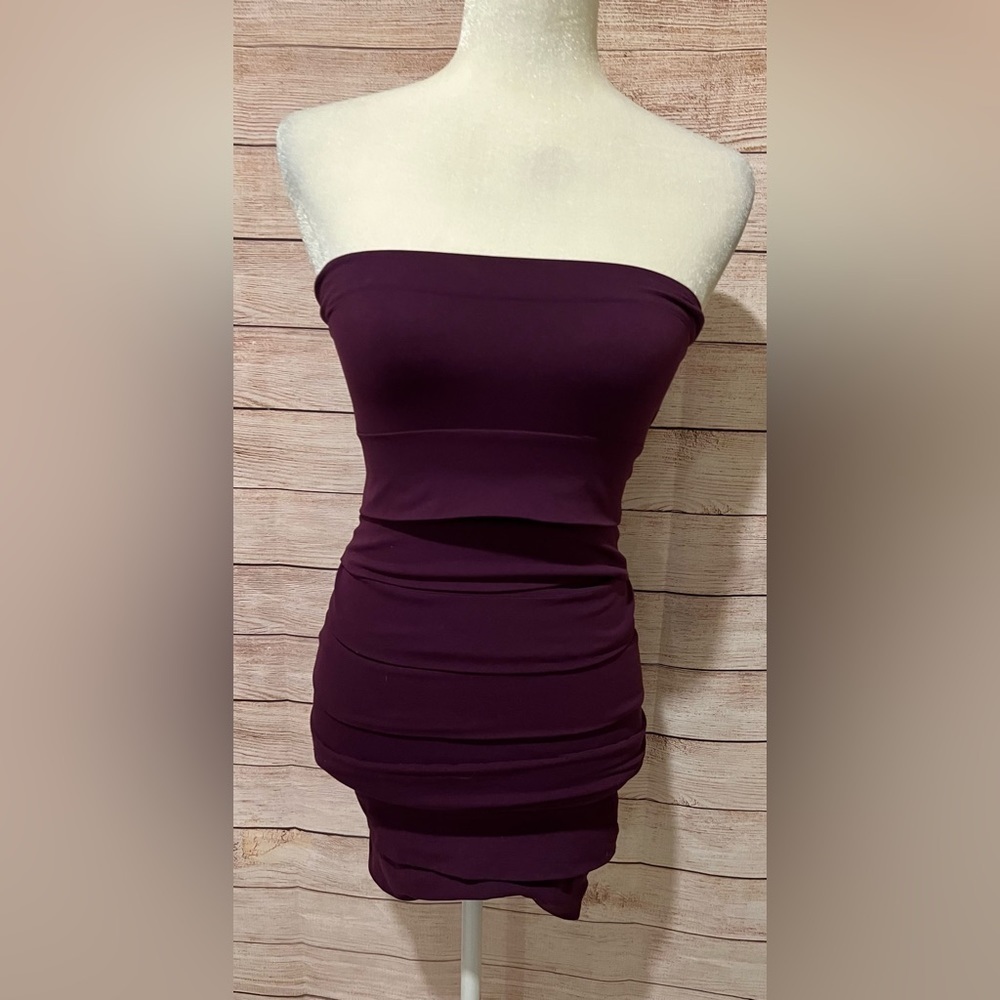 Nikibiki maroon Strapless Mini Dress O/S